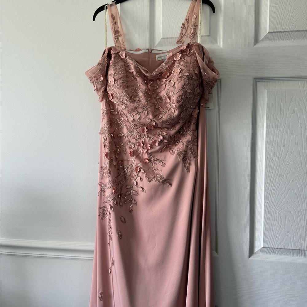 Cameron Blake gown. Never worn. Size 20